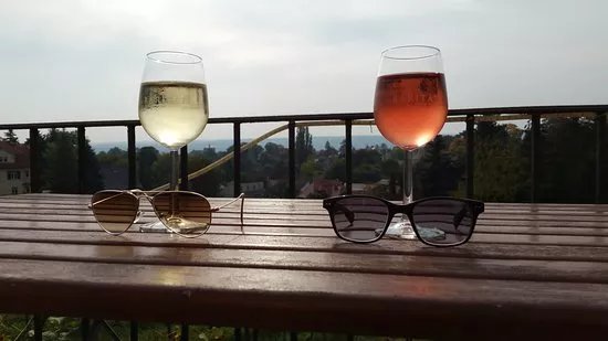Weingut Hoflossnitz