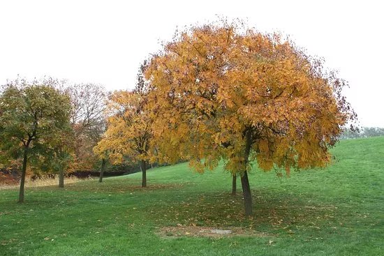 Le Parc De La Plage Bleue