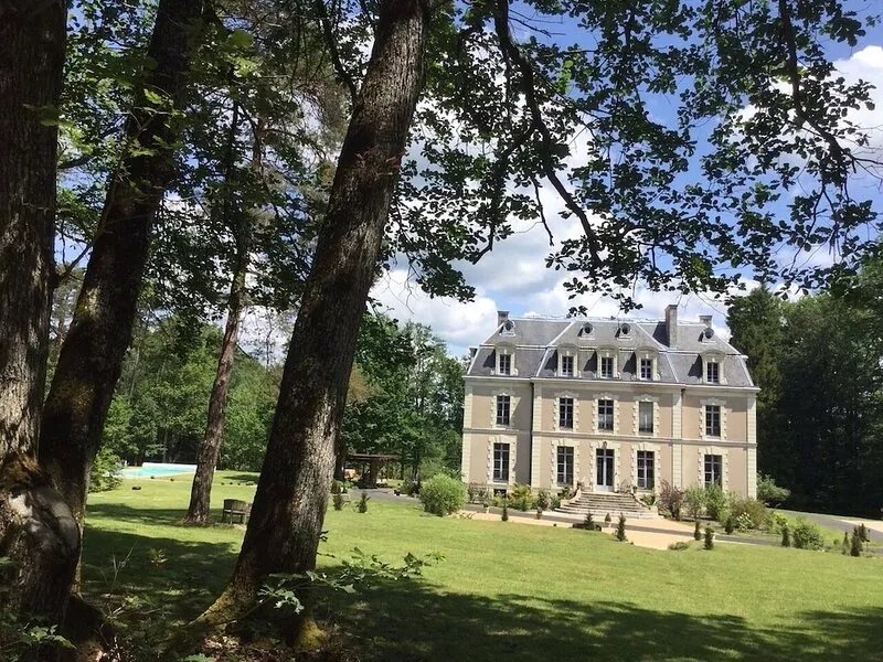 The Château des Essards with swimming pool and jacuzzi just for you