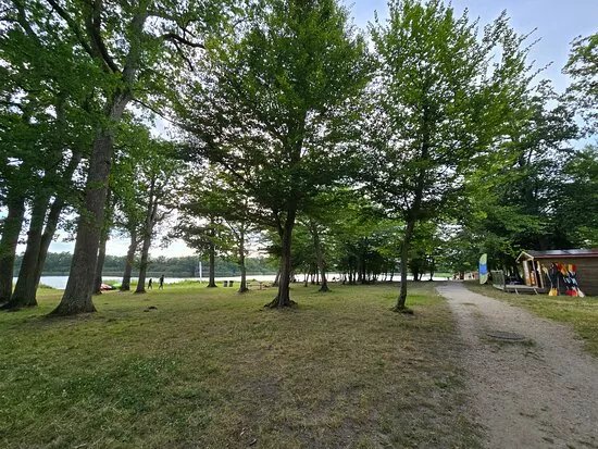 Etang Des Bois