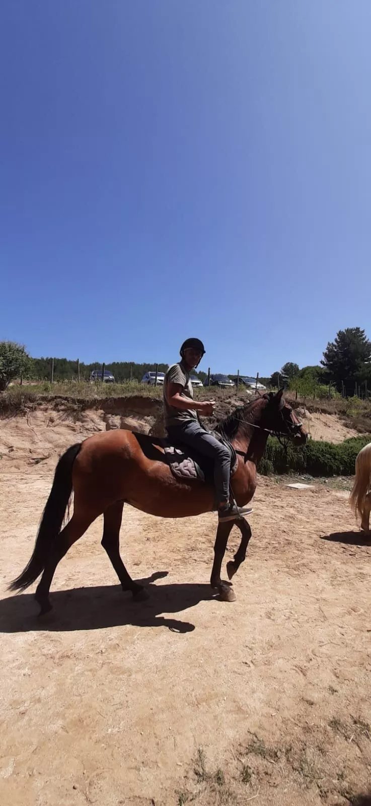 centro equestre vallepiccola