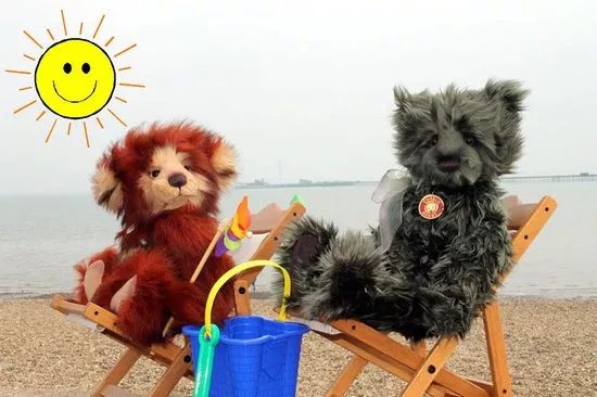 Teddy Station