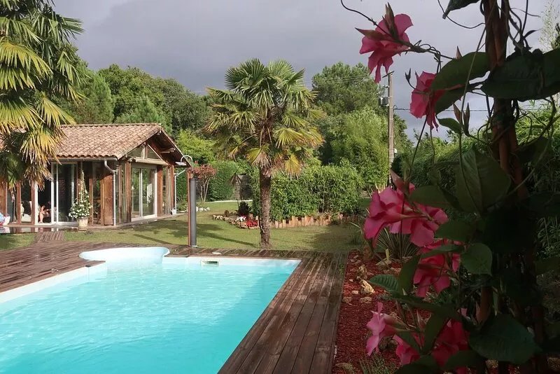 Atypical wooden house with heated pool: Pine forest, ocean and calm