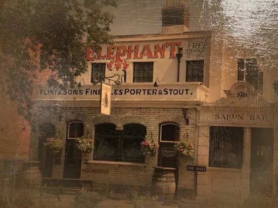 The Elephant