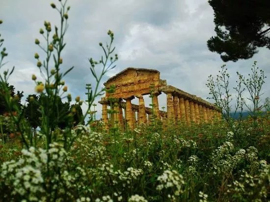 Museo Archeologico Nazionale Di Paestum