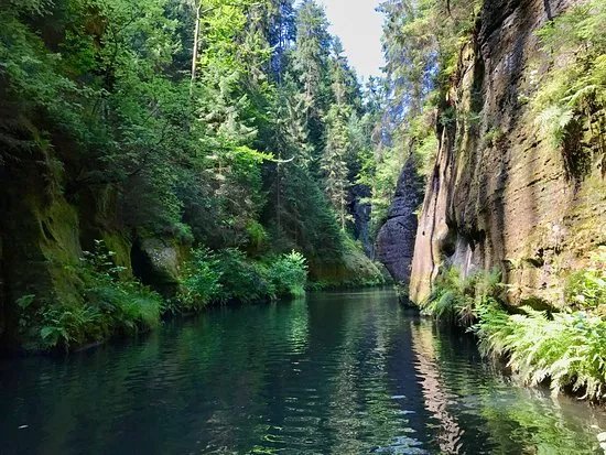 Wild Gorge