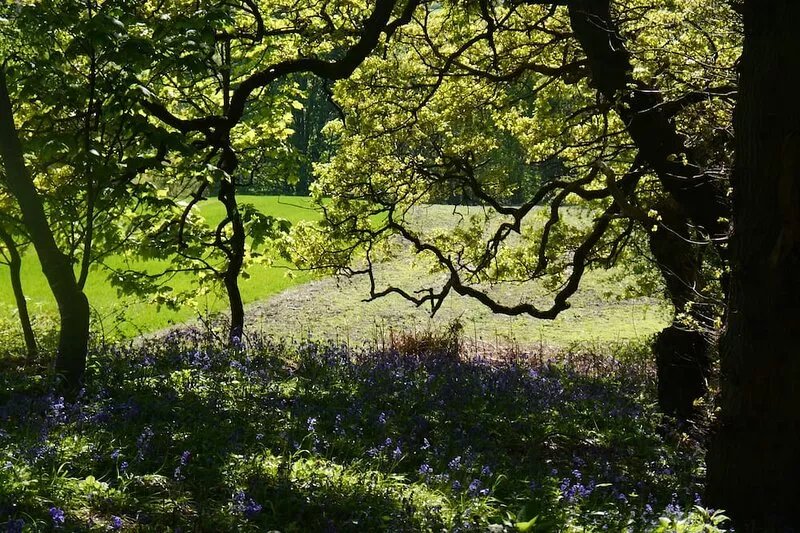Cottage 4 Star Gold Set in Peaceful Countryside nr Newcastle, Durham & Beamish