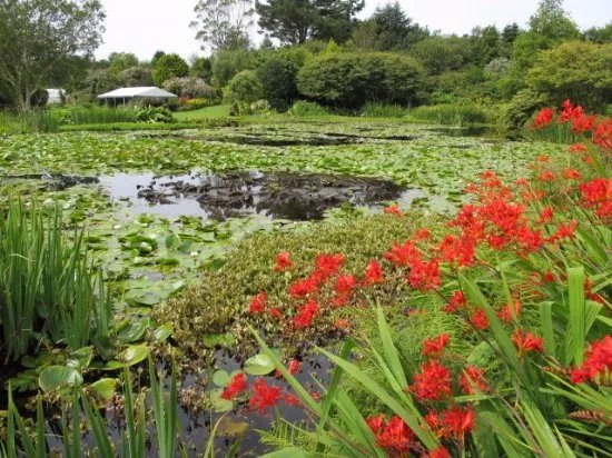 Glenwhan Gardens