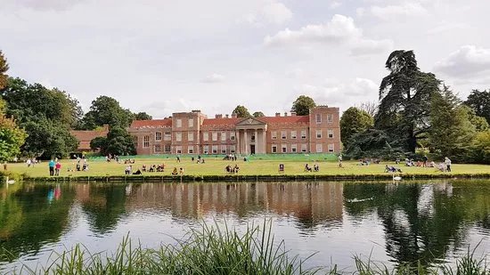 The Vyne