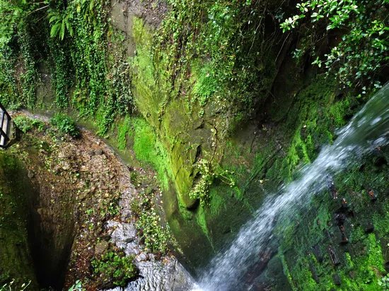 Shanklin Chine