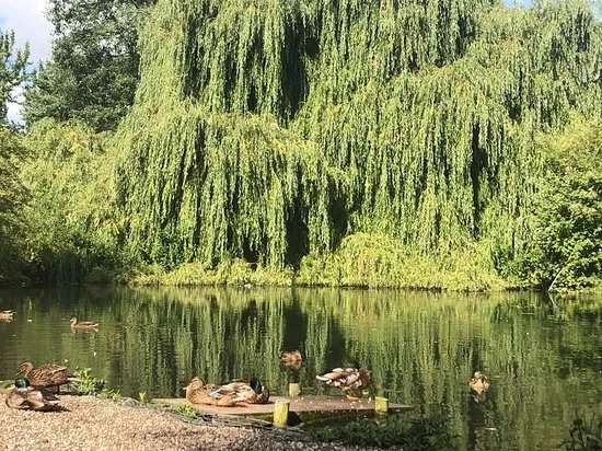 River Walk