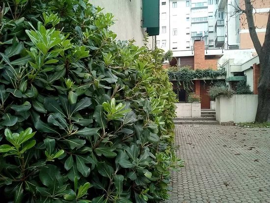 Casa Giacomuzzi di Via Marinoni