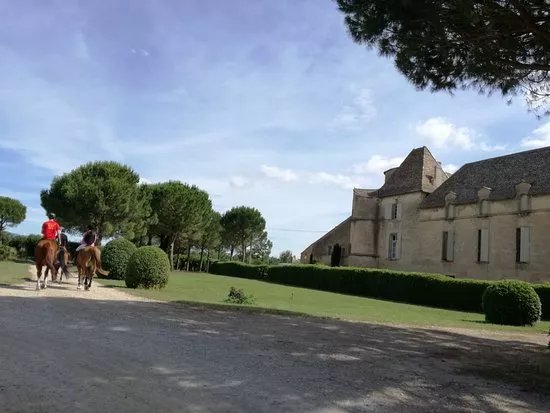 le Chateau de Perdiguier