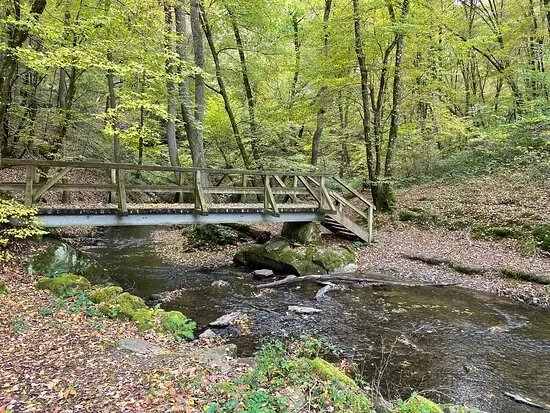 Ehrbachklamm