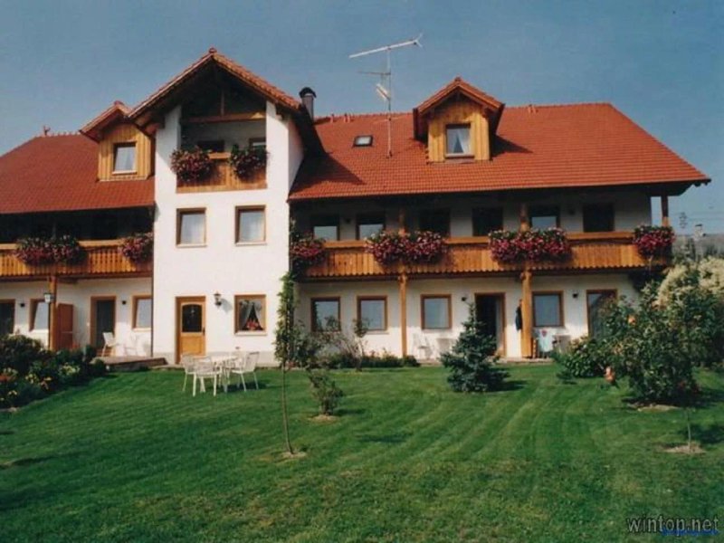 Haflinger Hof