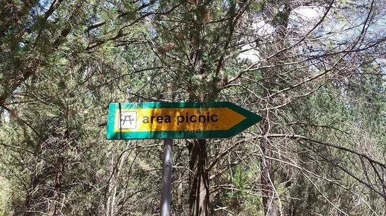 Foresta Mercadante