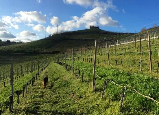 Azienda Agricola Cascina Ca' Rossa