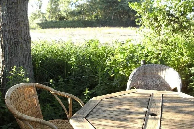 Dune house directly near beautiful nature, 4 persons, 3 bedrooms