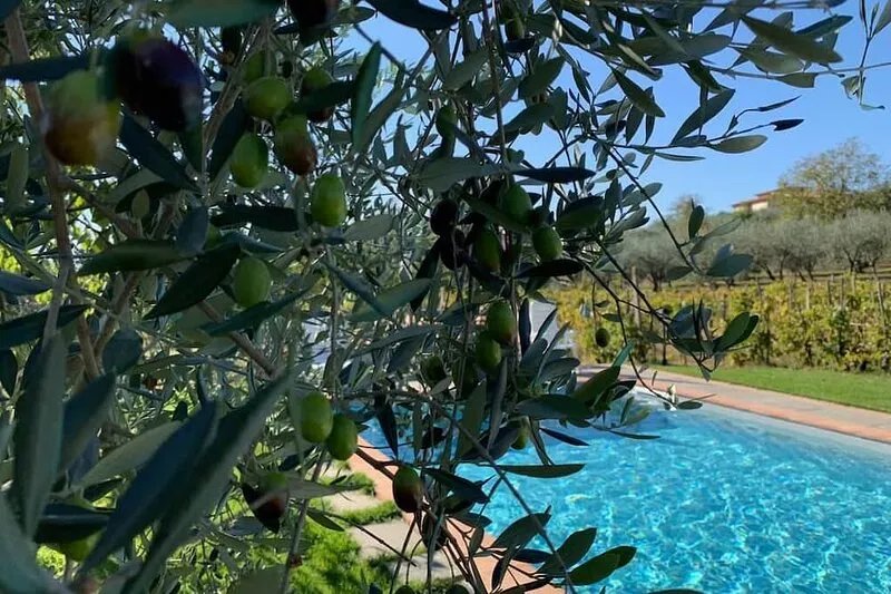 Villa in Toscana - Reggello con Piscina, Wi-Fi, Giardini.