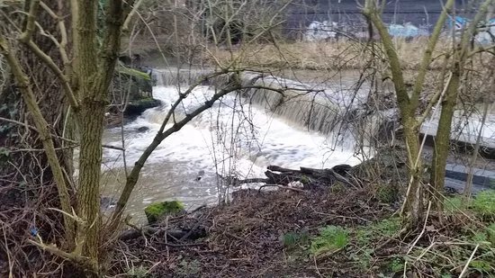 Markeaton Brook