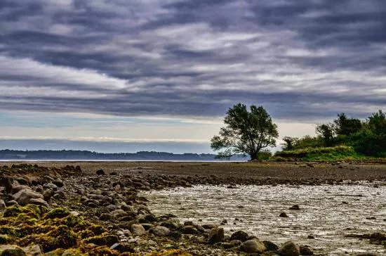 Island Hill & North Strangford Nature Reserve