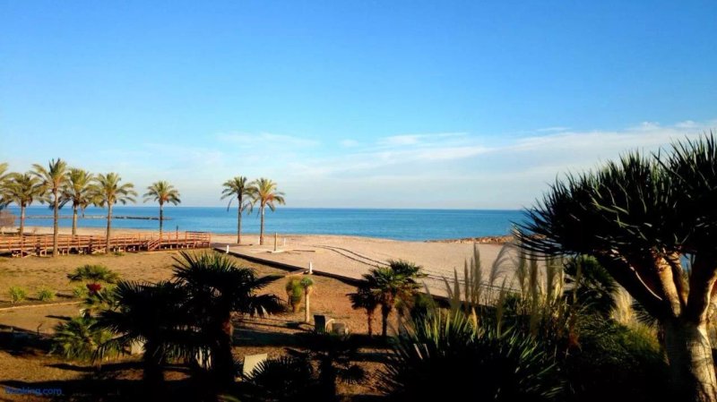 VivaBien Playa II - Apartment