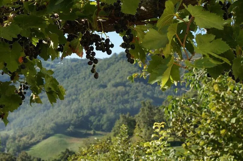 Spacious 3 bedroom self-contained apartment with swimming pool and panoramic