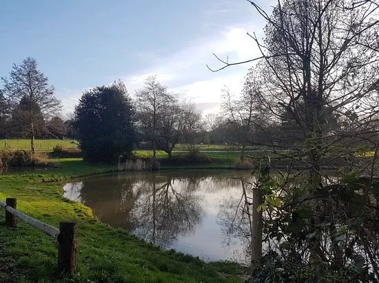 Horam Manor Fishery