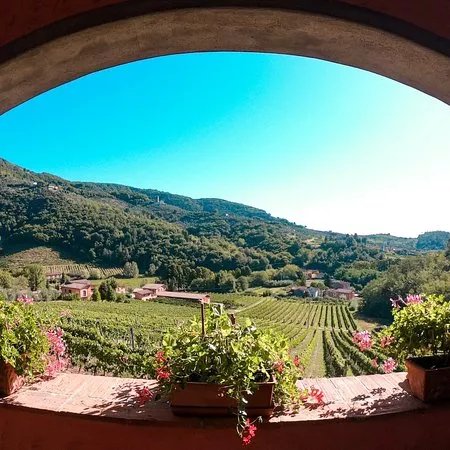 Azienda Agricola Greo