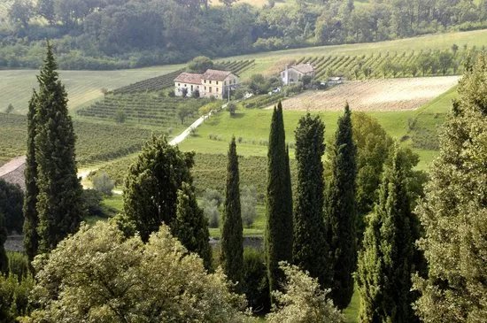 Prosecco Hills - World Heritage Site
