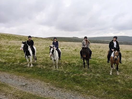 Cholwell Riding Stables