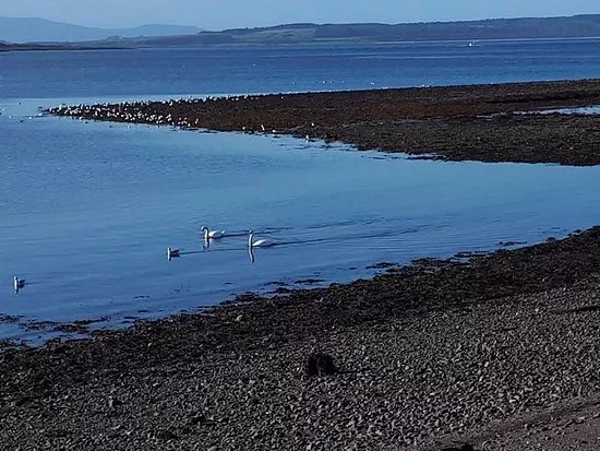 Largs Sea Front