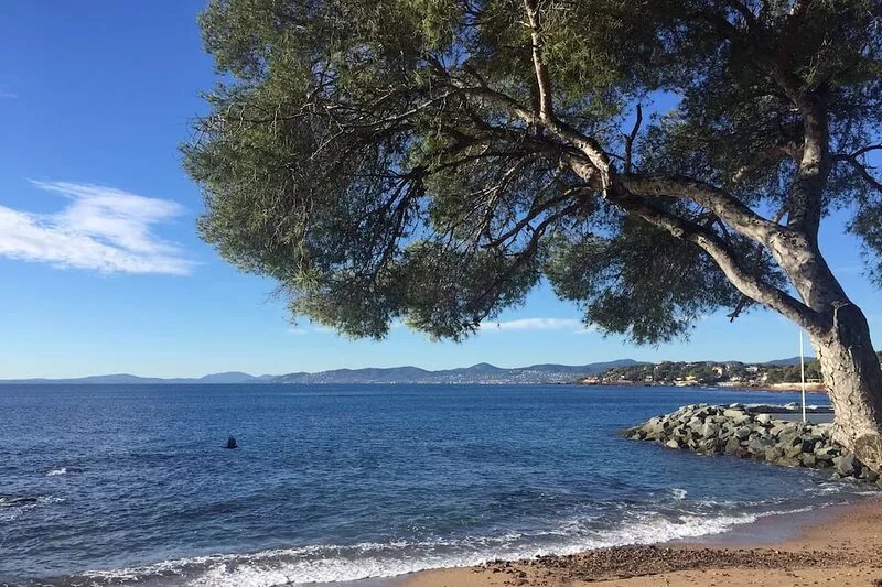Charming 3 room apartment with garden, calm, sea on foot
