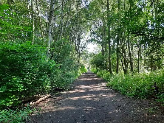 The Old Thrapston To Thorpe Rail Walk