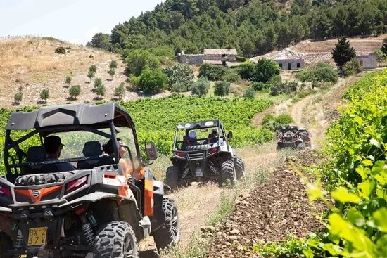 Segesta Tour 4x4