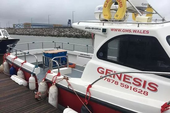 Genesis Sea Fishing