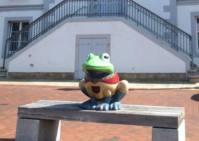 Pogge Der Frosch