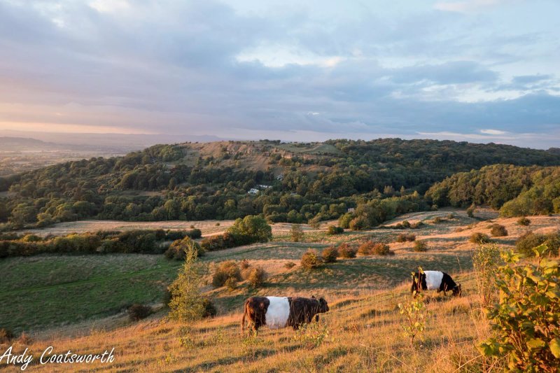 Cotswold Walking Company