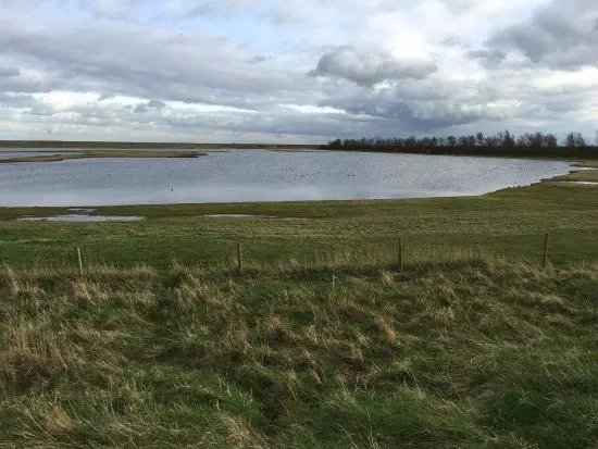 RSPB Freiston Shore