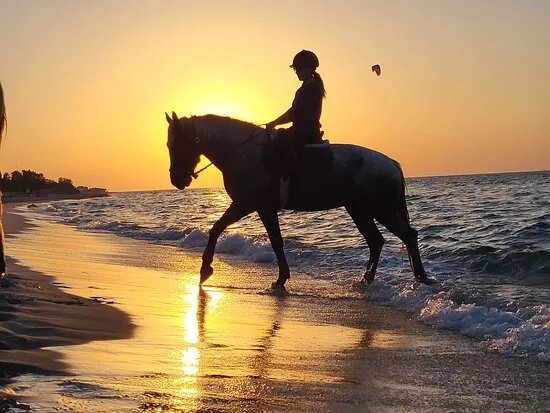 Erika's Horse Farm Kos