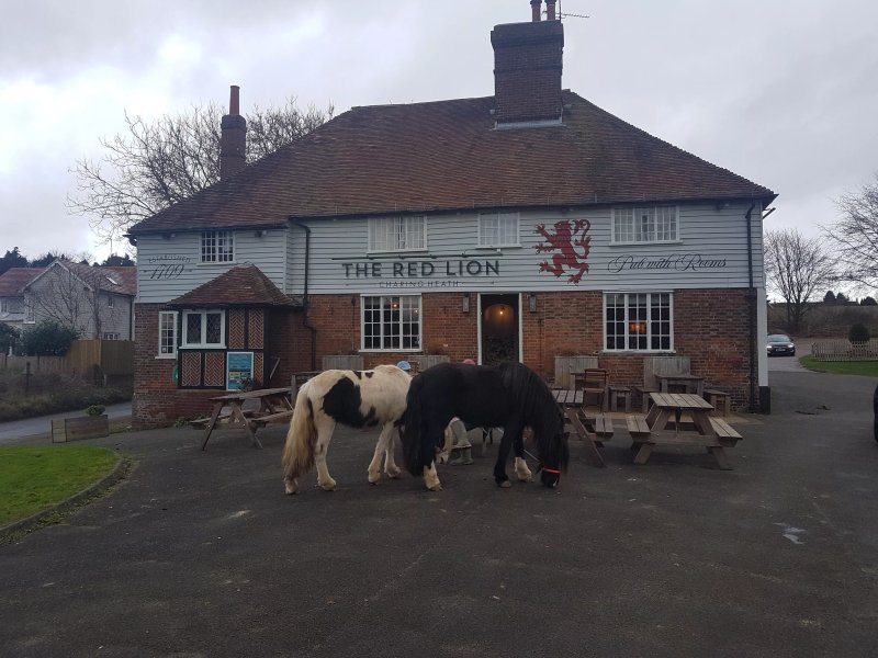 The Red Lion