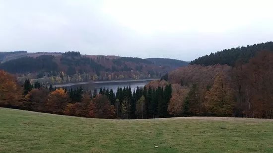 Greifvogelstation & Wildfreigehege Hellenthal