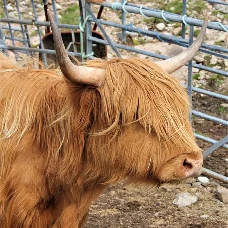 Tours of Lewis and Harris in the Outer Hebrides