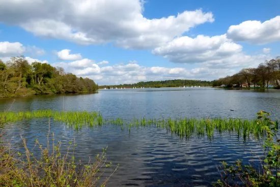 Frensham Great Pond and Common