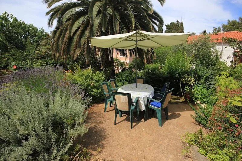 One bedroom apartment with terrace Veli Lošinj, Lošinj (A-8029-a)