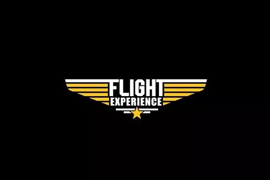 Flight Experience