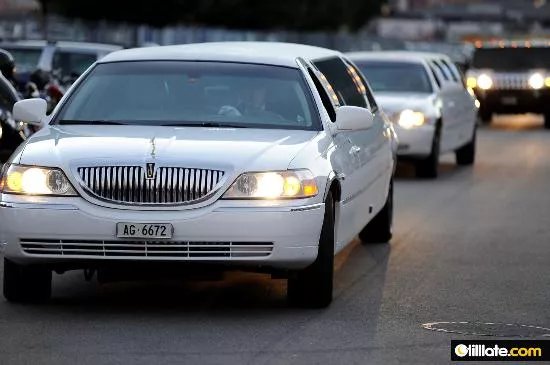Kiwi's Limousine