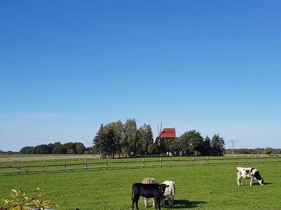 Bockwindmuhle Ballendorf