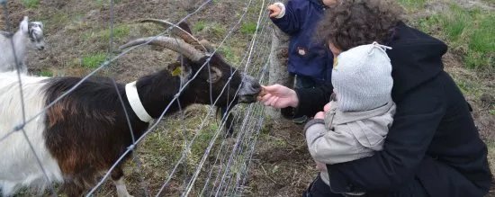 Ferme d'Animation du Long Reage