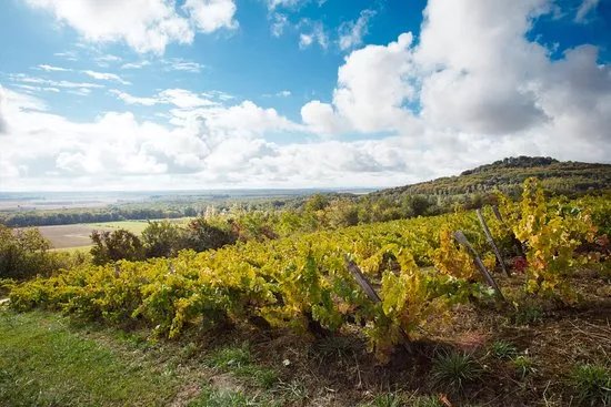 Domaine Lelievre
